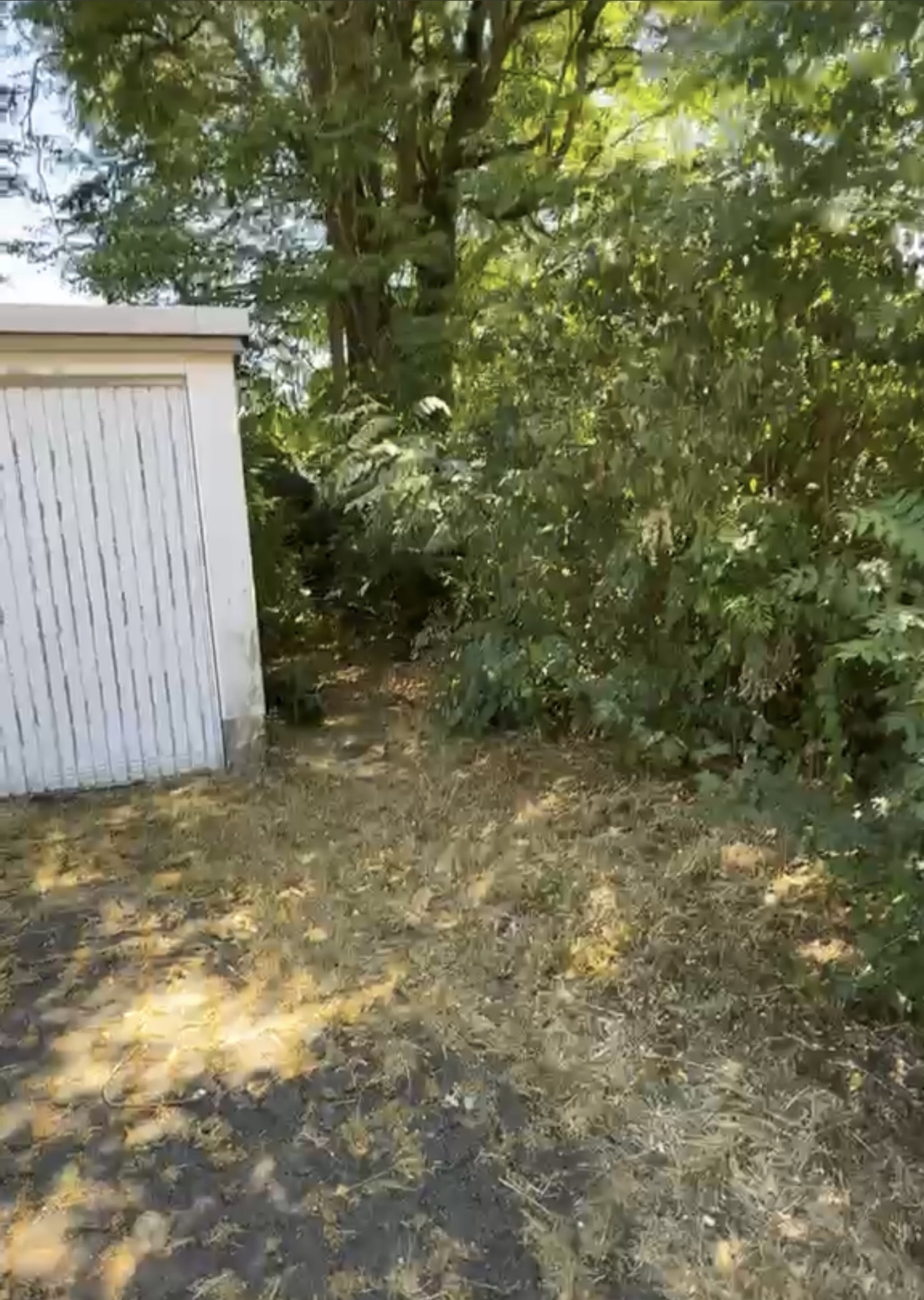 Garageneinfahrt vorher
